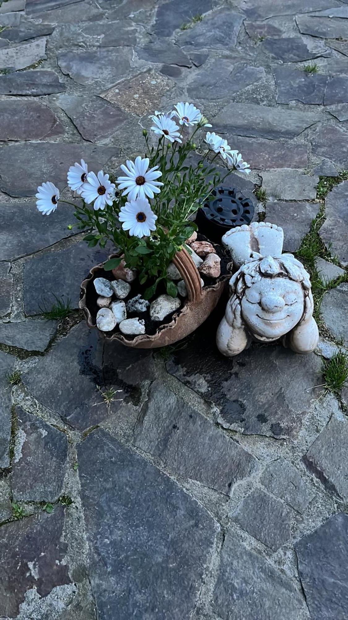 Pensiunea Maria سيبيو المظهر الخارجي الصورة